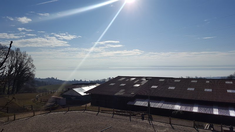 Centre Equestre le Cudret - photo 3