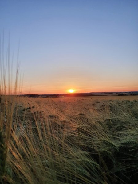 Écurie de Valleroy - photo 1