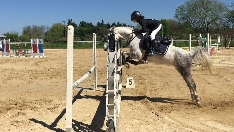 CENTRE HIPPIQUE DE RAHON - ÉCURIE LAIBE - photo 3