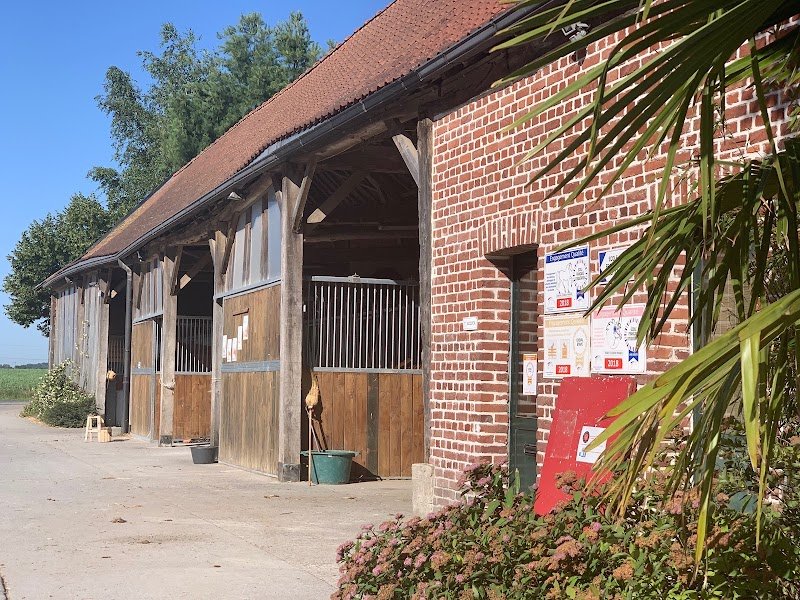 ECURIE ROMAIN DAVID / CAPPELLE EN PEVELE - photo 2