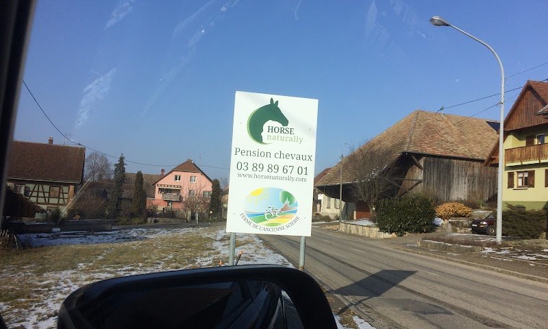 Horse naturally - Pension chevaux - Pferdepension