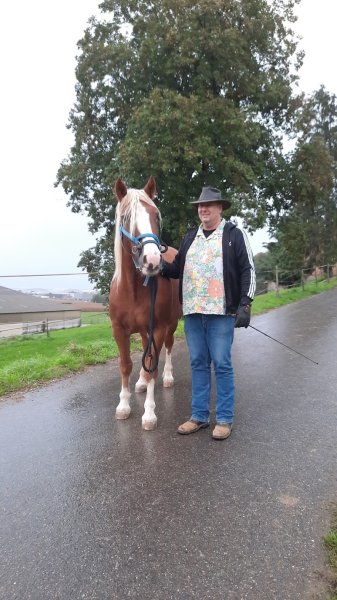 Pension pour chevaux Ferme Eby - photo 1