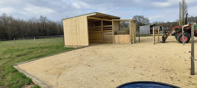 Écurie de Propriétaires en équipiste - Endurance - Écuries Al Khashab - photo 3