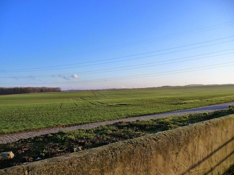 Écurie du Castelain - photo 2