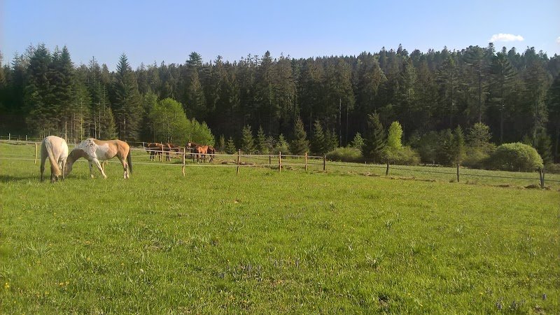 Écurie du Neu Prés