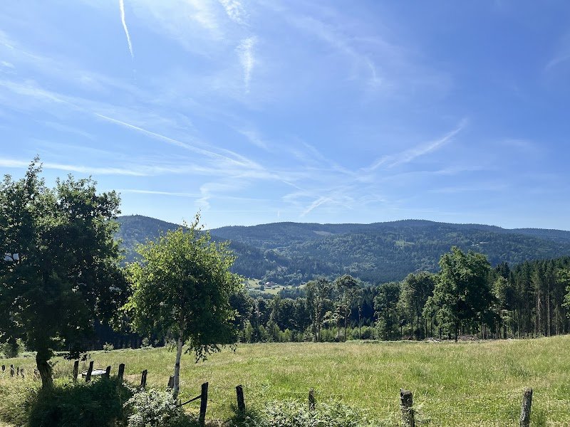 Écurie du Neu Prés - photo 2