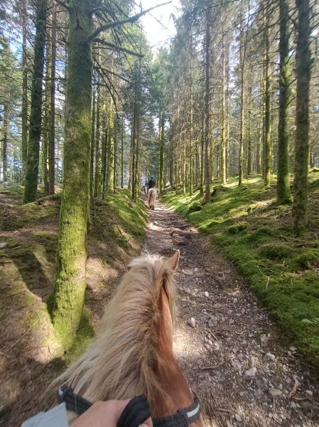 Écurie du Neu Prés - photo 3