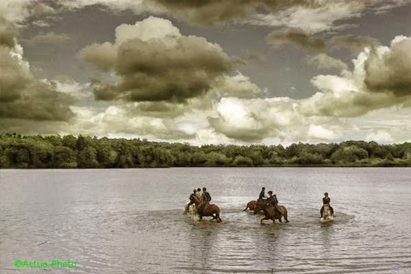Centre équestre des prés de la grange - photo 1