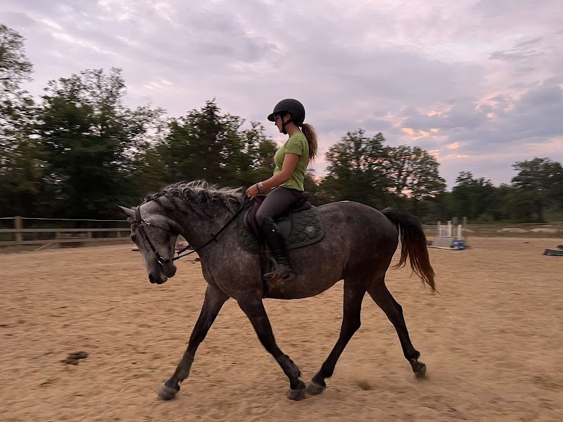 Centre équestre des prés de la grange - photo 2