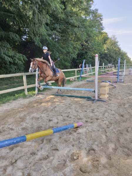 Centre équestre de la Grange l'Etang