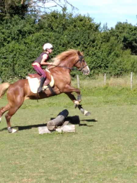 Centre équestre de la Grange l'Etang - photo 3