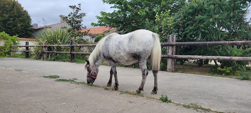 Ecurie de la Grange l'Abbé Le Langon - photo 3