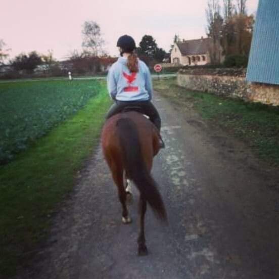 Ecurie de la Grange - photo 3