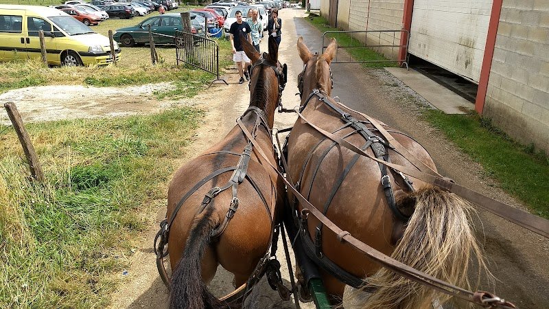 Centre Équestre du Moirot Écleux - photo 2