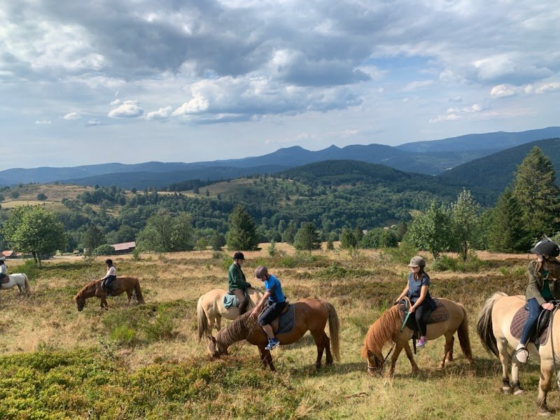 Cheval Alsace - photo 1
