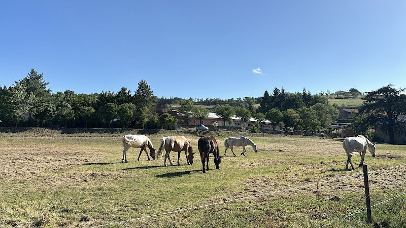 Écuries du Rance - photo 2
