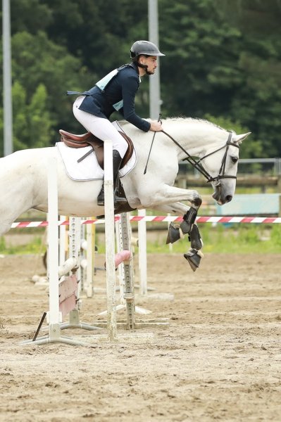 Écuries du Rance - photo 3