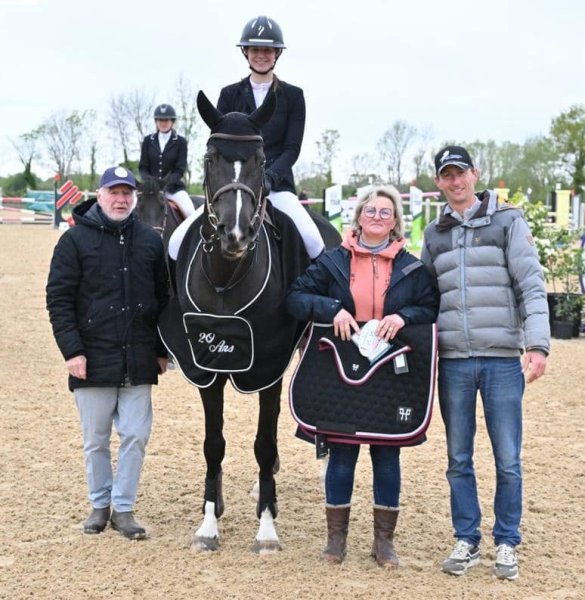 Ecurie LYSALEX - Pension et Valorisation de chevaux CSO Calvados - photo 2