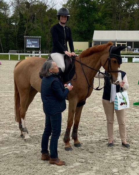 Ecurie LYSALEX - Pension et Valorisation de chevaux CSO Calvados - photo 3