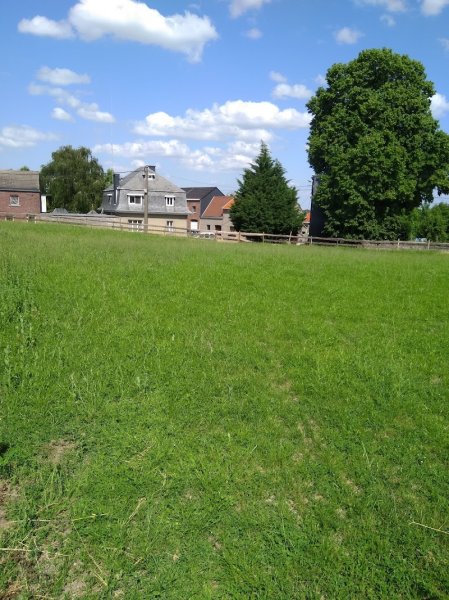 Ecuries Sainte Anne ASBL - photo 2