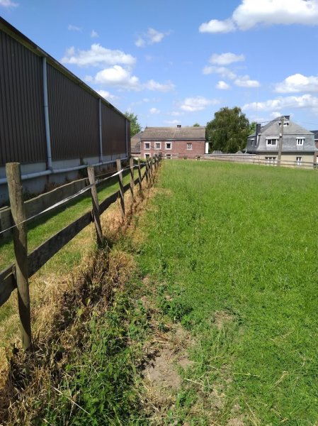 Ecuries Sainte Anne ASBL - photo 3