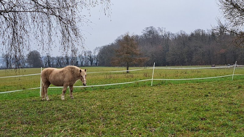 Ecuries de la Sarraz - photo 3