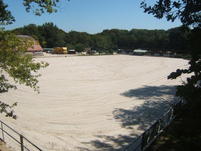 Centre Equestre de la Forêt de Chaux - photo 3
