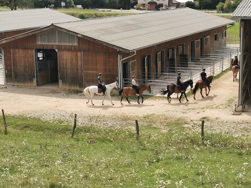 Centre Équestre Jura Sud - Lac de Vouglans - photo 2