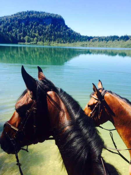 Centre équestre du Marais - photo 1