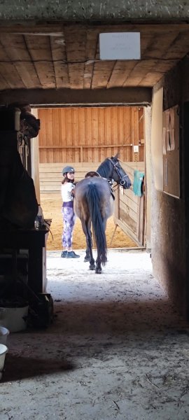 Centre équestre du Marais - photo 3