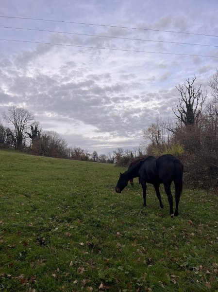 Les Écuries de la Tour - photo 1