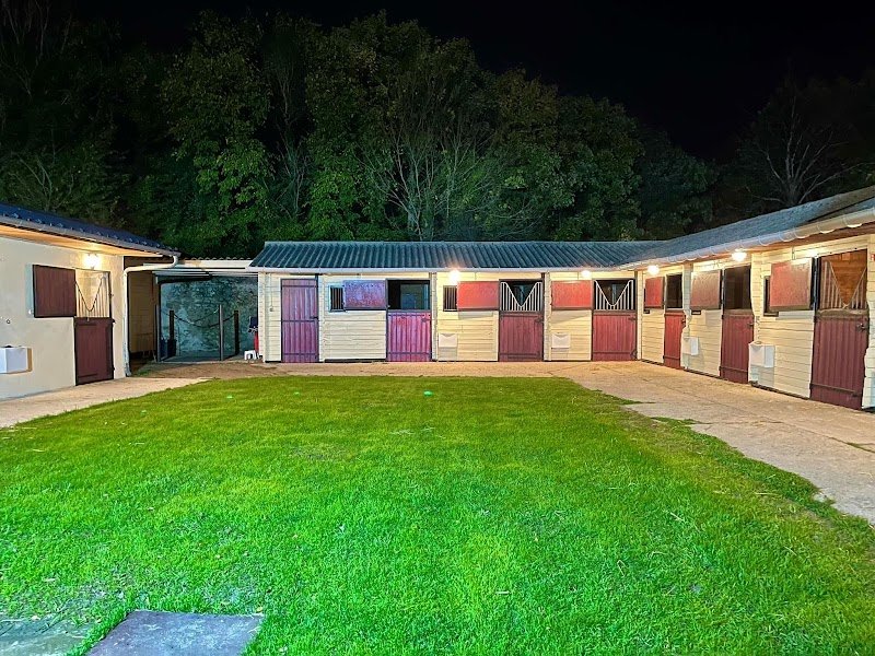 BM Horses - Écurie de Saint Louis - photo 2