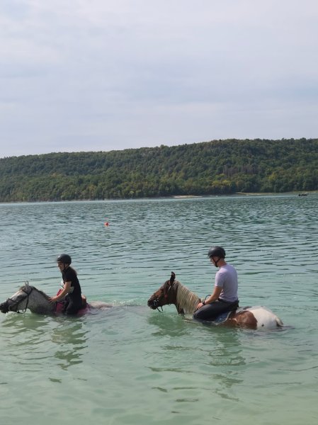 Ferme "Jura équestre" - photo 2