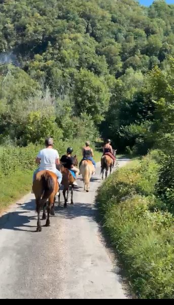 Ferme "Jura équestre" - photo 3