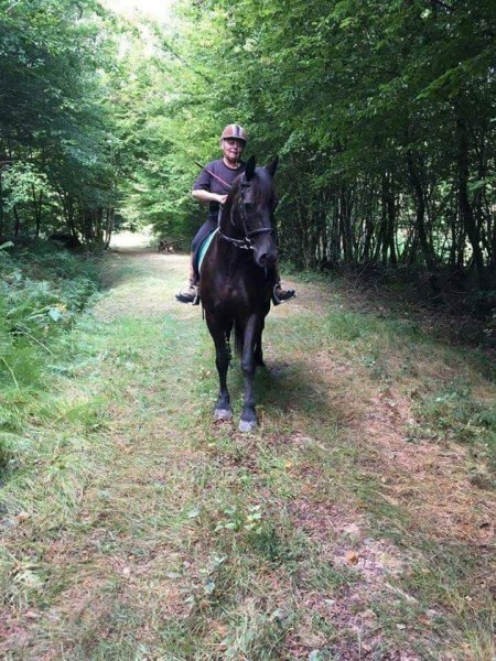 Centre équestre de Chalain - photo 2