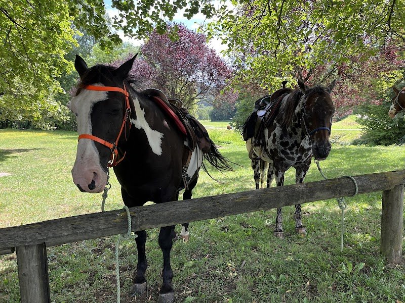 FERME EQUESTRE JUAN - Randonnée Cheval Jura