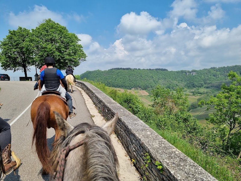 FERME EQUESTRE JUAN - Randonnée Cheval Jura - photo 2