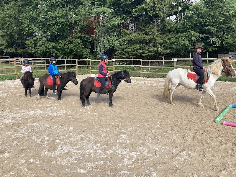 FERME EQUESTRE GAIA LOISIRS