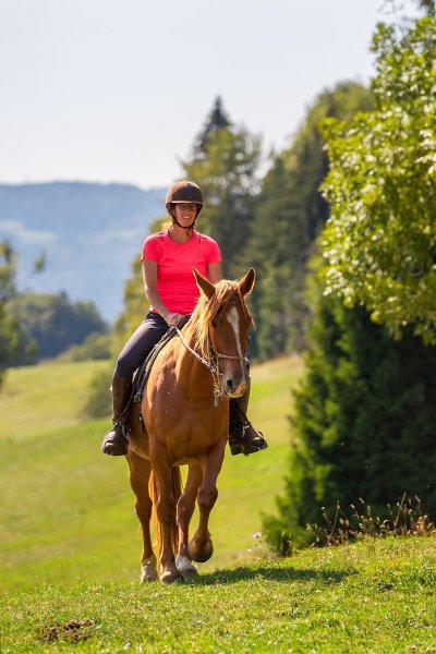 FERME EQUESTRE GAIA LOISIRS - photo 2