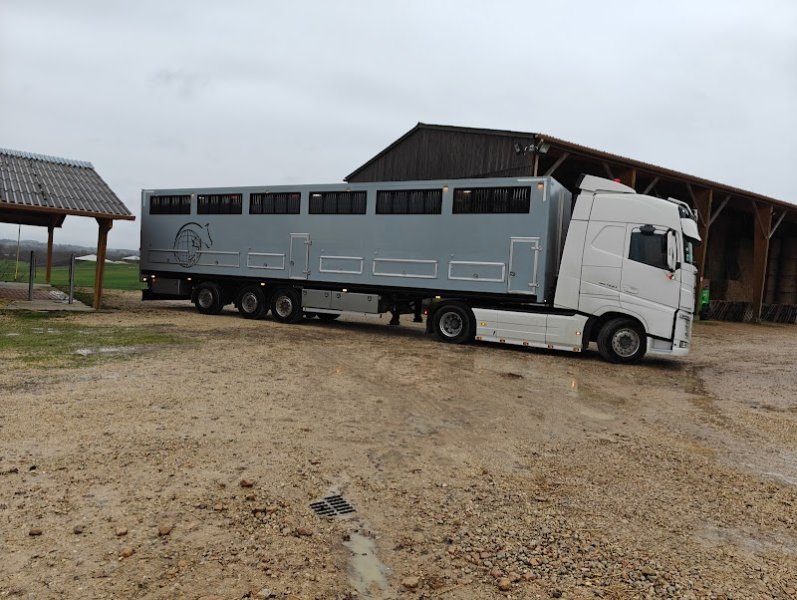 Mortier Horse Transport - photo 3