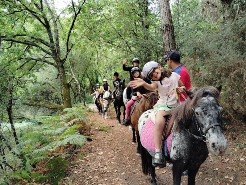 ECURIE DE L ETOILE - photo 1