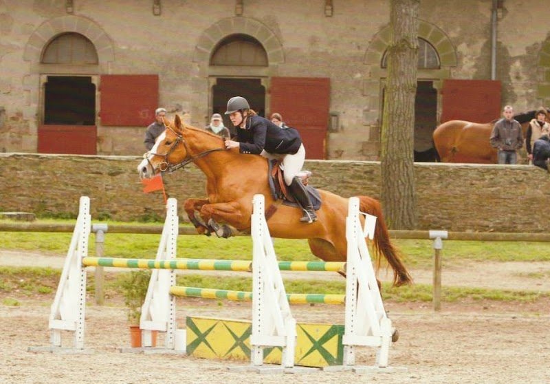 ECURIE DE L ETOILE - photo 2