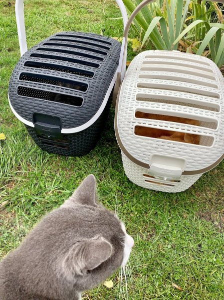 Pension de Titou - photo 1