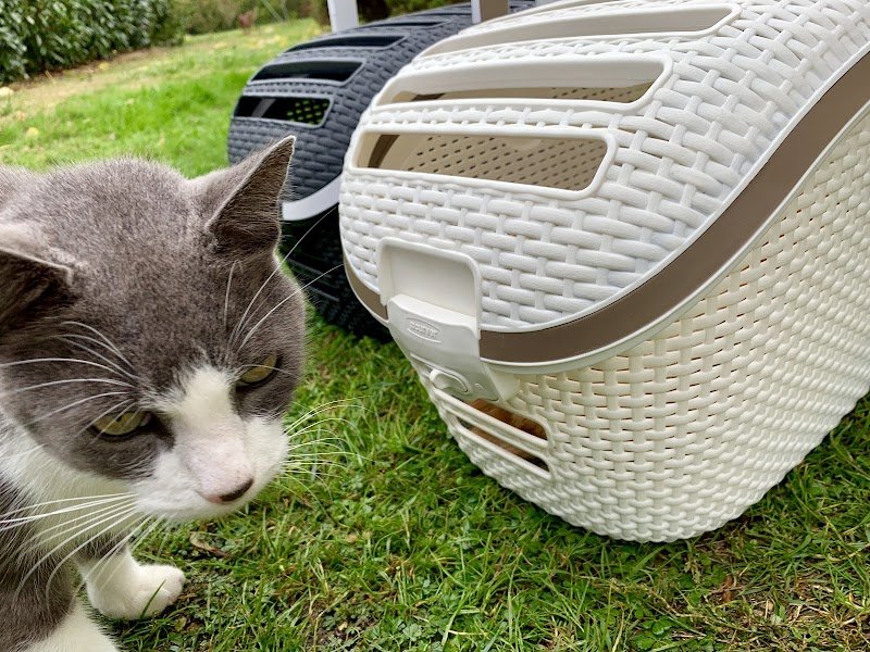 Pension de Titou - photo 2