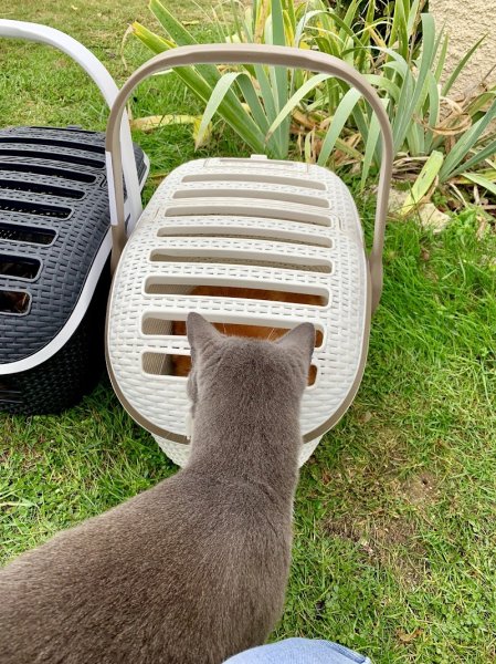 Pension de Titou - photo 3