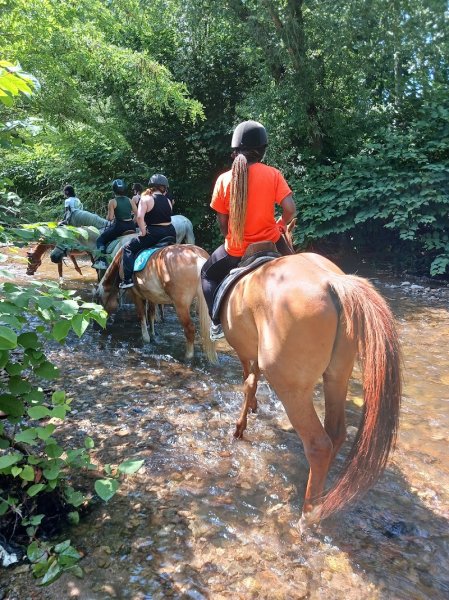 Ecurie de l'Ortenbourg - photo 2