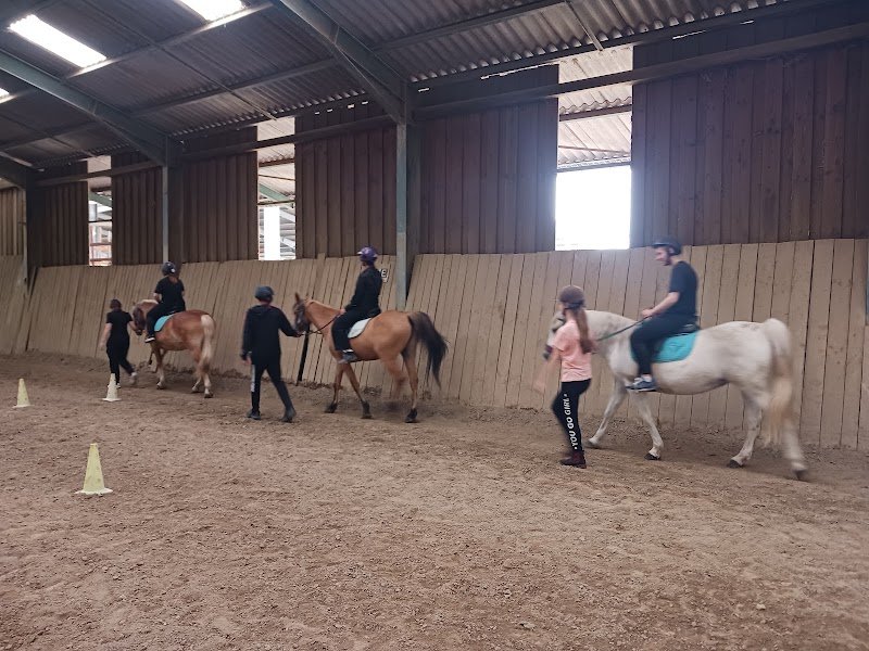 Ecurie de l'Ortenbourg - photo 3