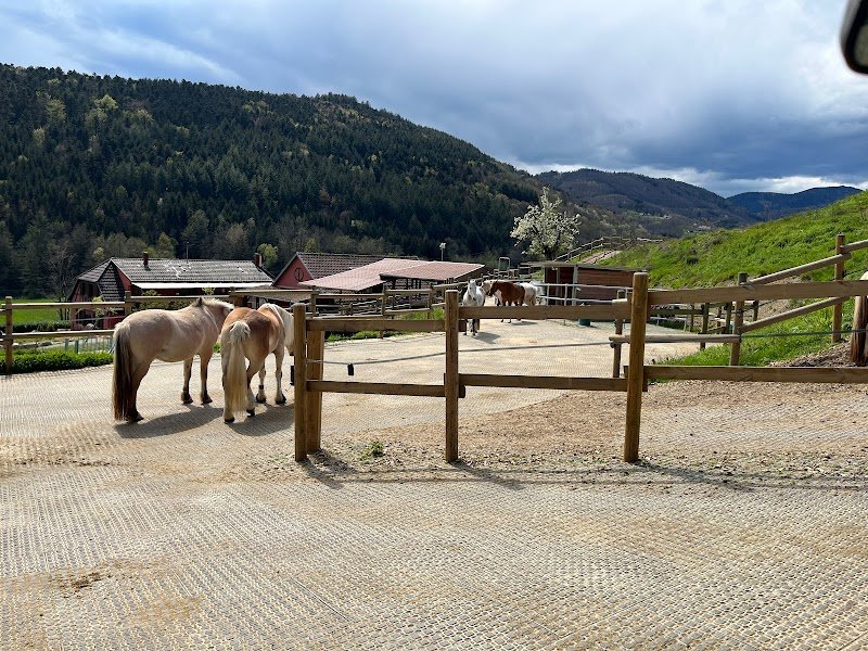 La ferme du Poney Roi - photo 1