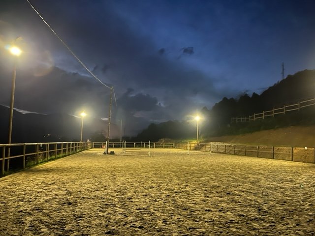 La ferme du Poney Roi - photo 2