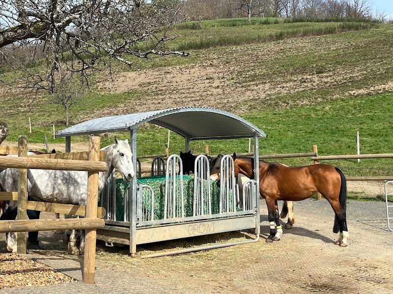 La ferme du Poney Roi - photo 3